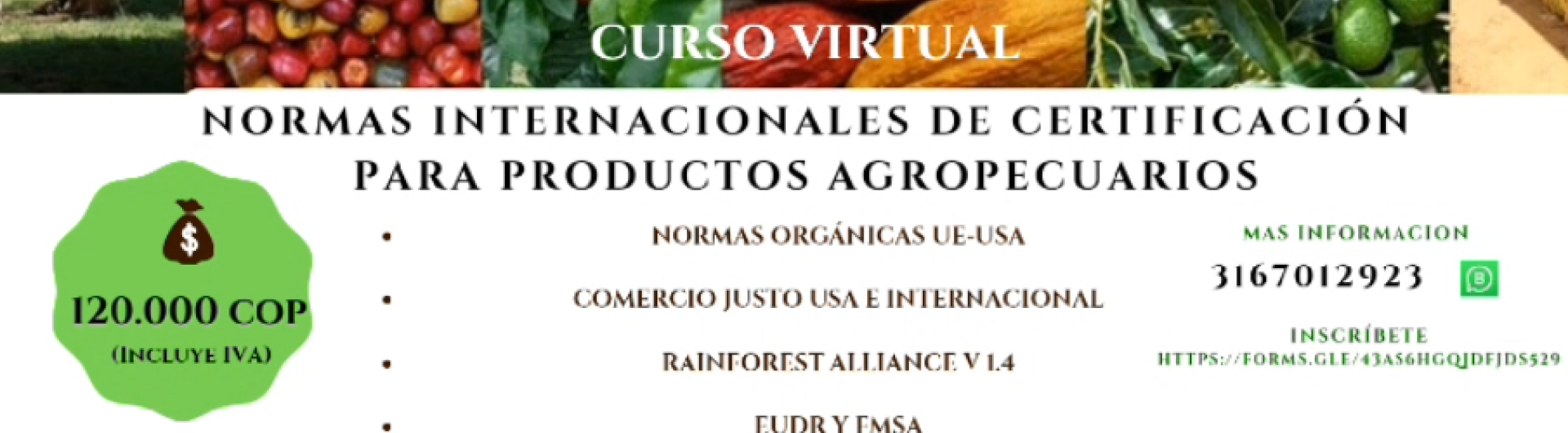 curso